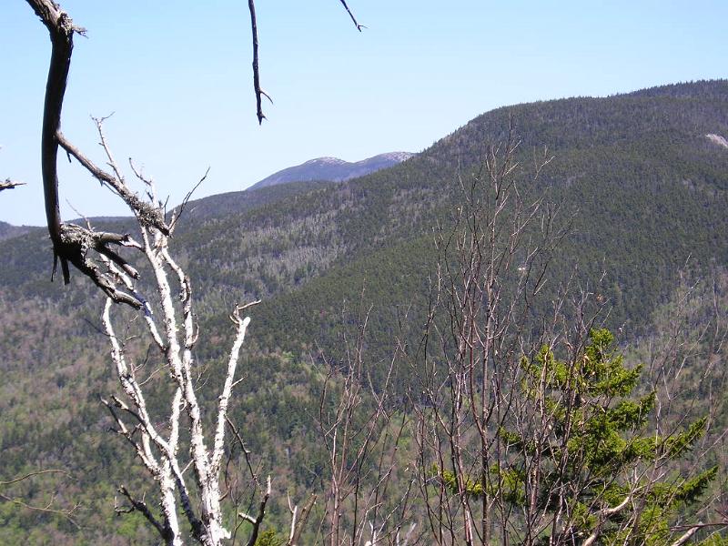 SquareLedge (18).JPG - To the left of the Paugus summit we could see the top of Mt. Chocorua. I bet it was crowded up there.